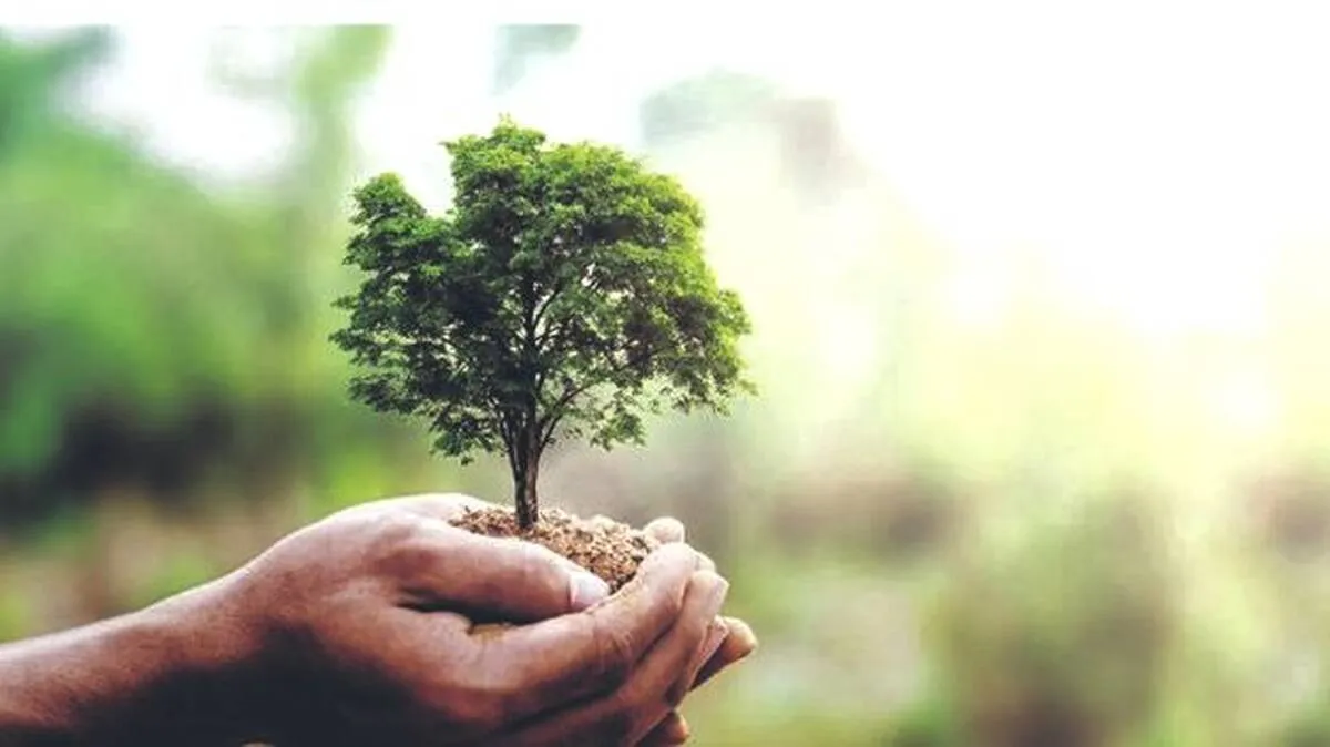 tree