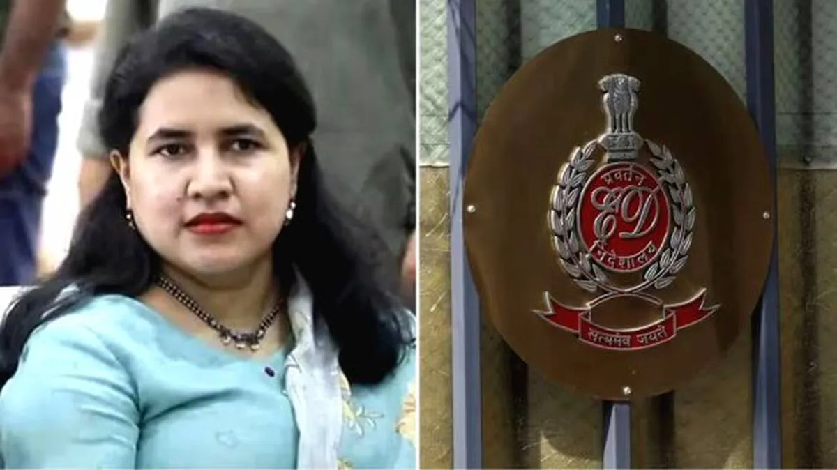 veena