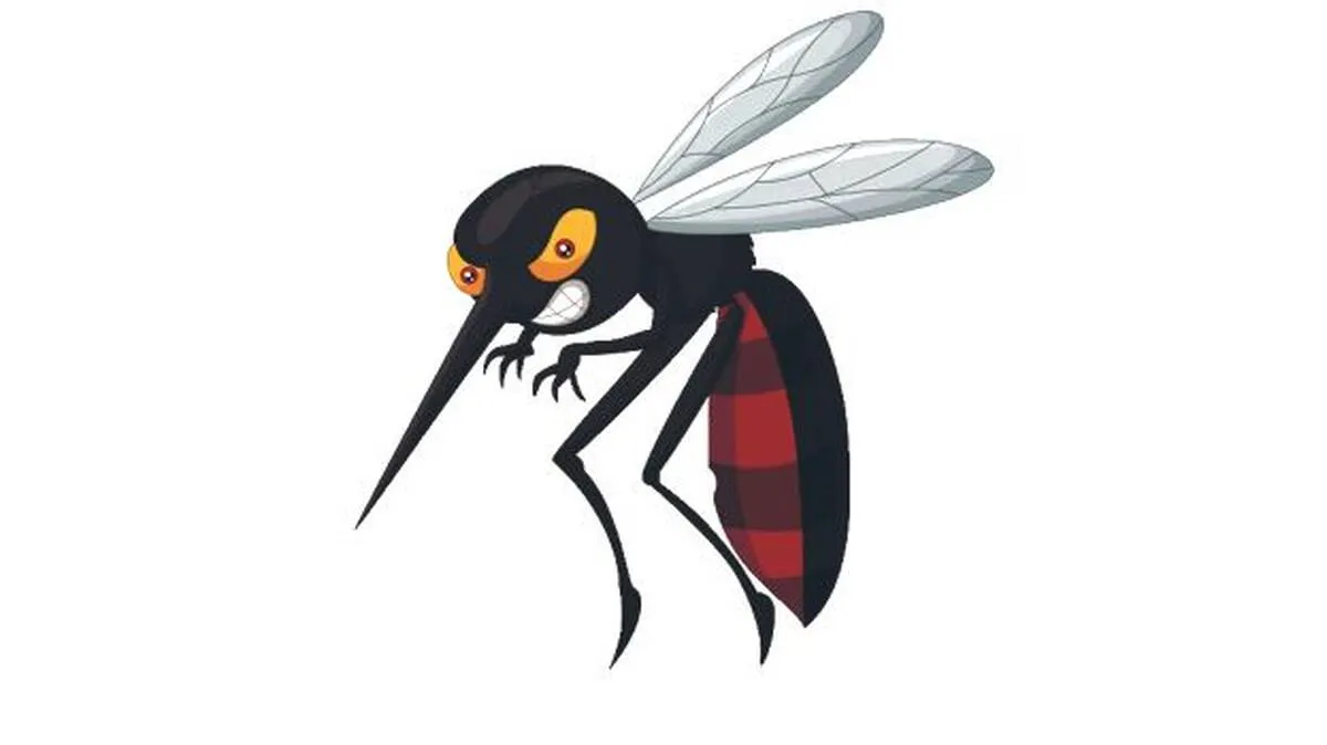 mosquito