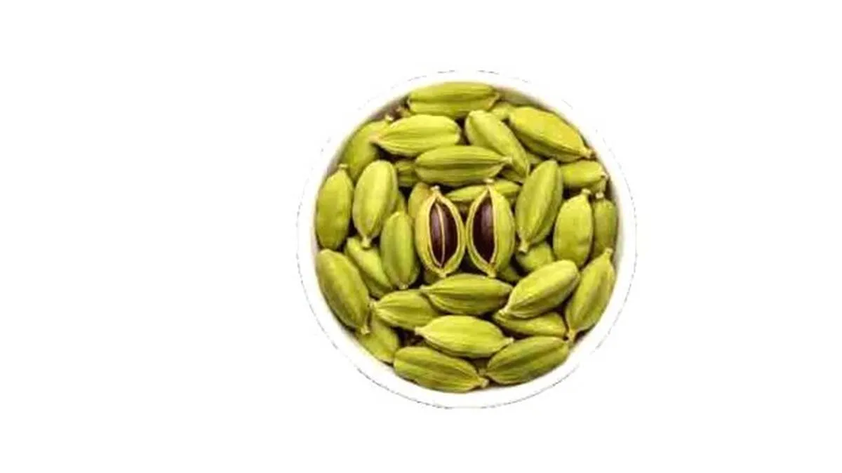 cardamom