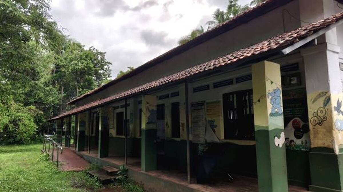 maamba-lp-school