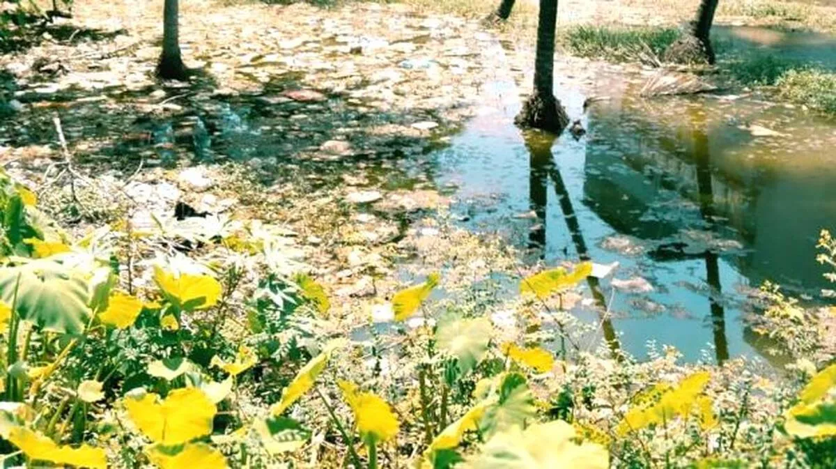 malinyam-