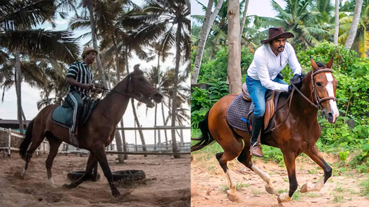 'കുതിരയെ നിയന്ത്രിക്കാൻ കഴിയുന്നവർക്ക്  ഒരു ജില്ലയെയും നിയന്ത്രിക്കാം';  അന്താരാഷ്ട്ര ശ്രദ്ധ നേടി  തുമ്പയിലെ 'ജി-ഫാം'