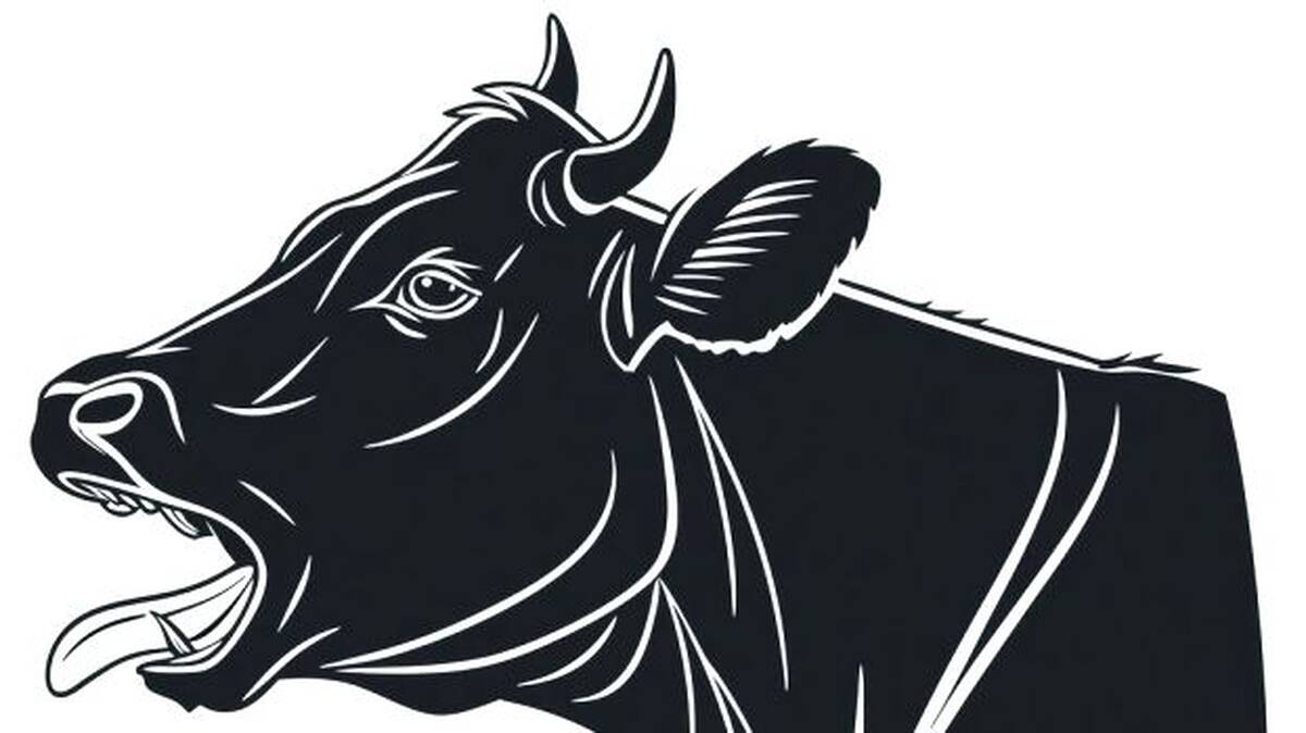 cow