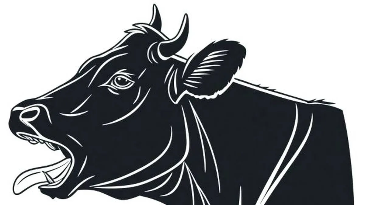 cow