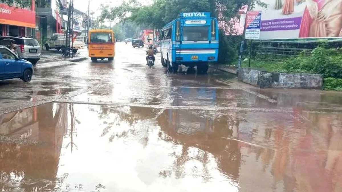 vellakkettu