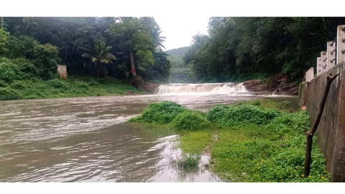 thavakkal