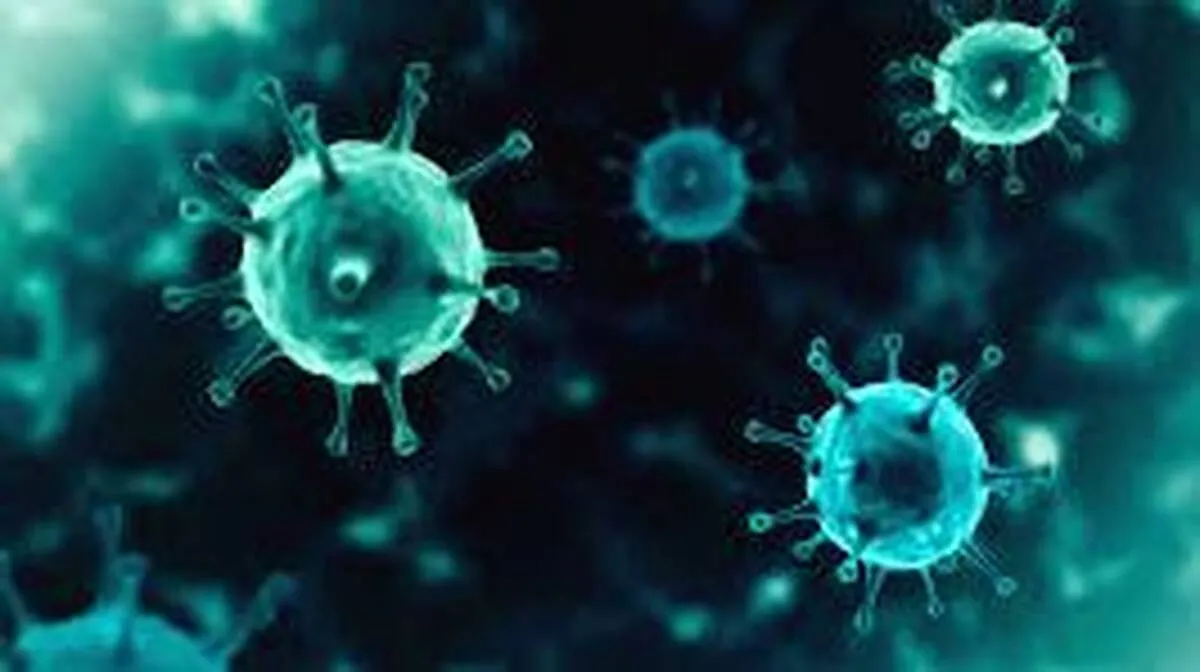 virus