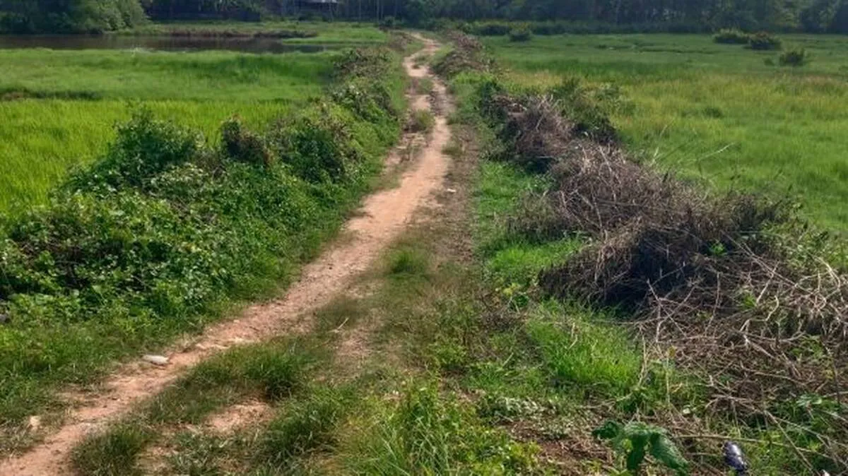 vazhavilarod