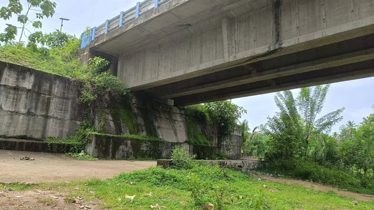 photo-1