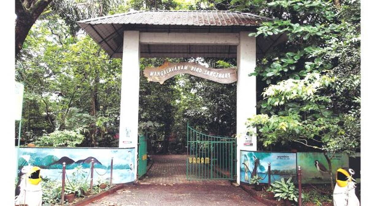 mangala