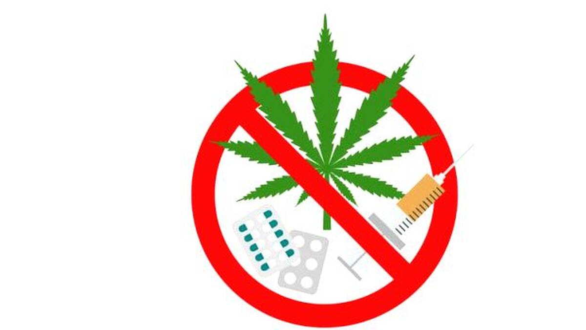 ganja