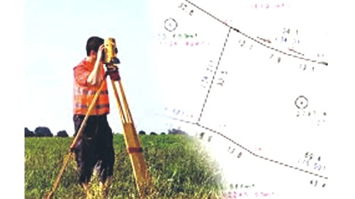 survey