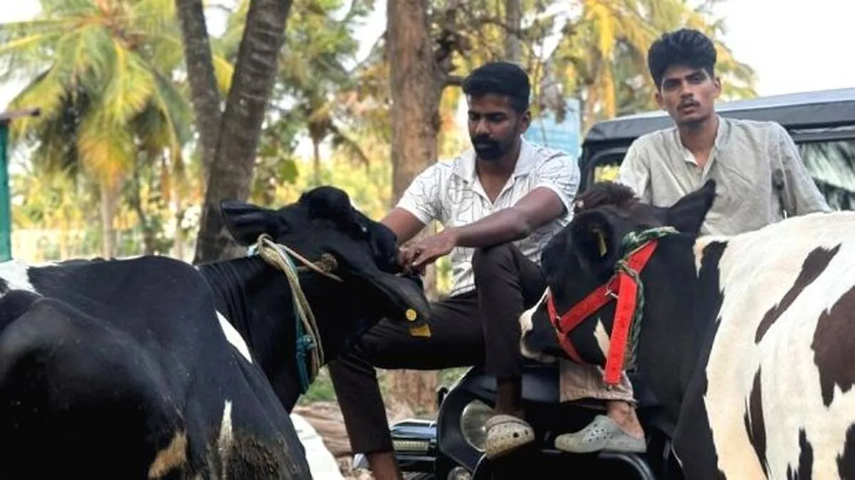 ആർക്കും ക്ഷീരമേഖല തിരഞ്ഞെടുക്കാം
പണിയെടുക്കാൻ മനസുണ്ടായാൽ മതി