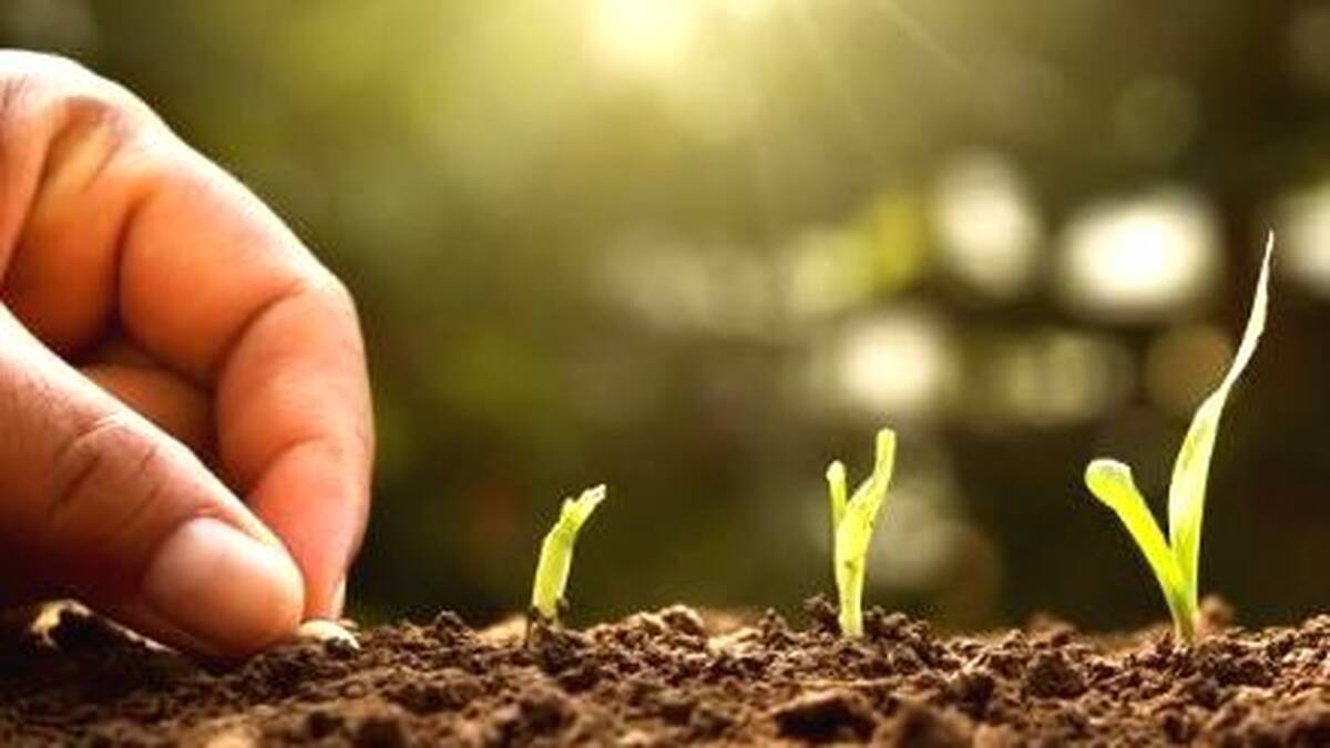 aa