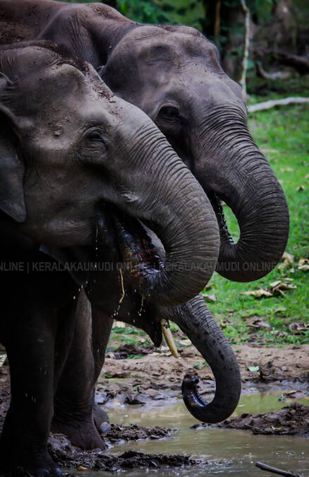 Kerala Kaumudi Photo Gallery
