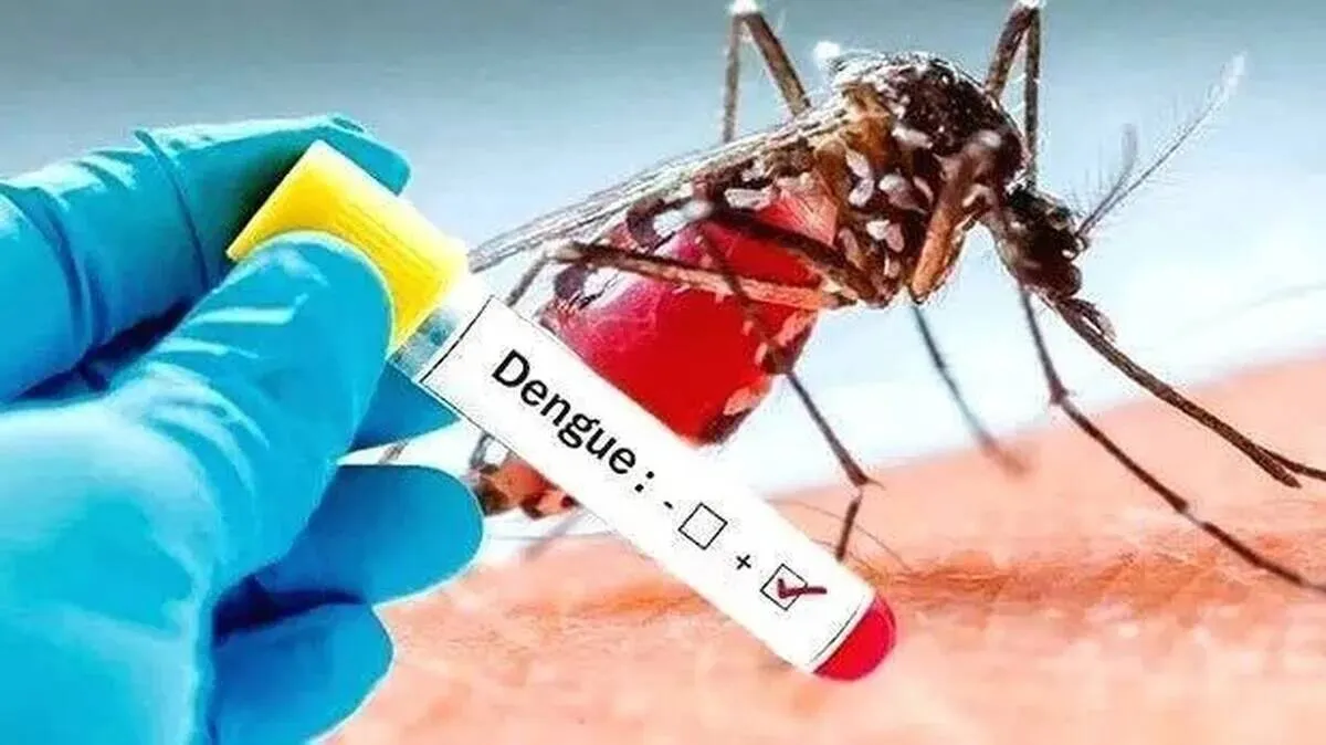 fever