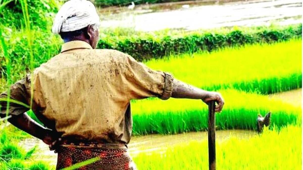 farmer