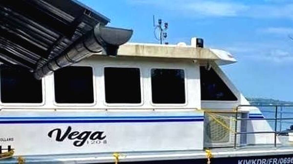 vega