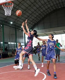 basket0.2.3951947