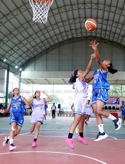 basket5
