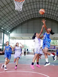 basket5.2.3954511