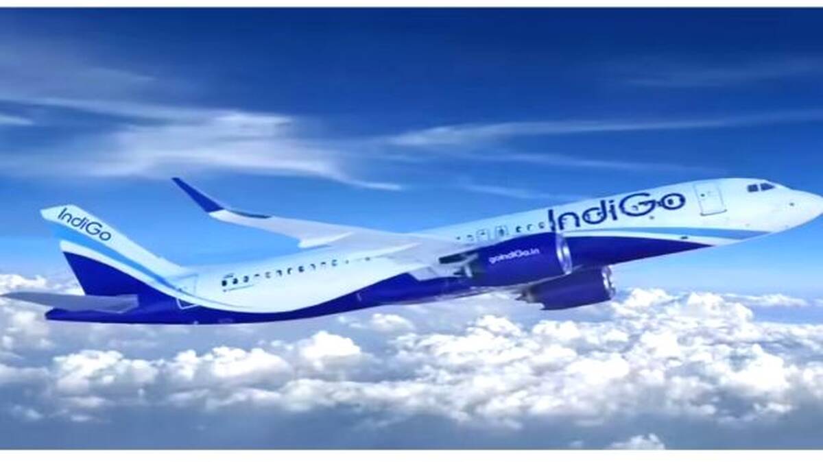 indigo