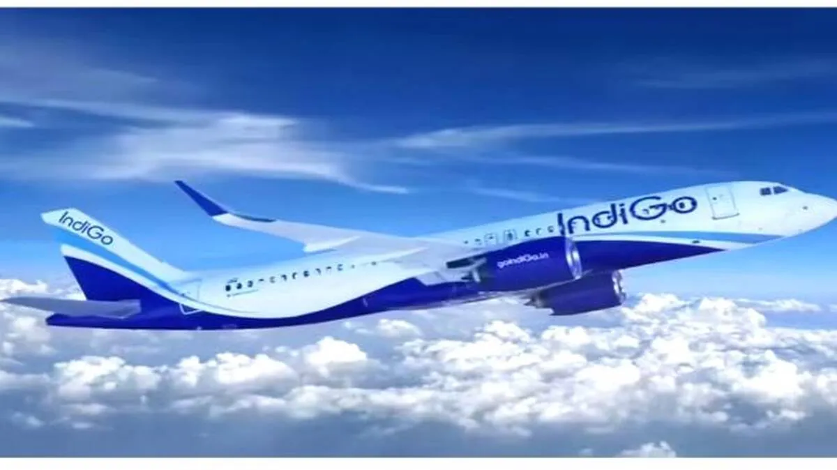indigo