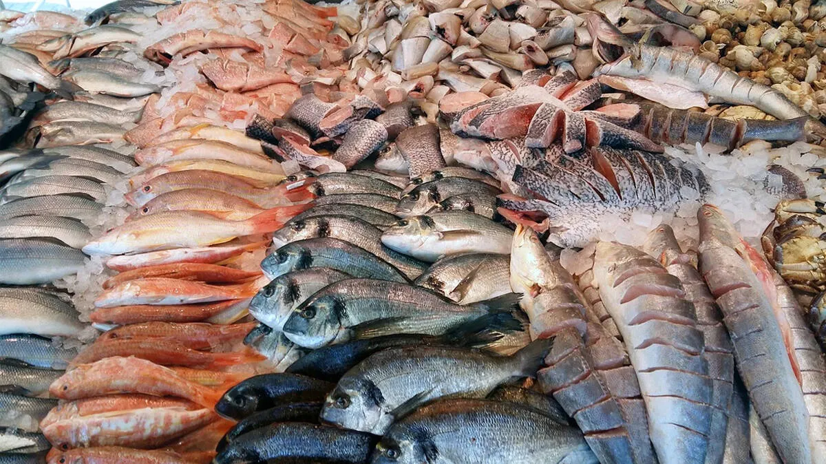 fish