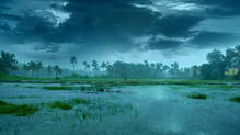 kerala-rain-alert-today-yellow-alert