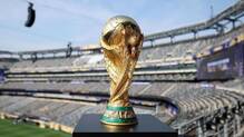 world-cup-final-holiday-school