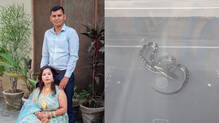 snake-bite-murder-insurance-wife-arrest