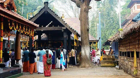 temple.1.3939260