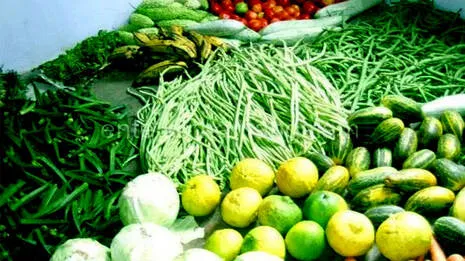 vegetable-.4.245191