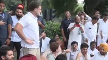 congress-extends-support-to--cjp-protest-rahul-gandhi-reaches-jantar-mantar