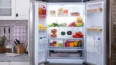 fridge.1.3942453