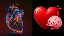 heart-intrinsic-nervous-system-mini-brain-heartbeat-control-zebrafish-study