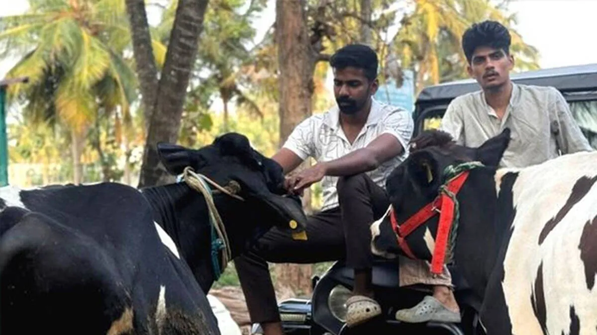 dairy-farming