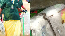 python-handed-over-to-haritha-karma-sena-with-waste