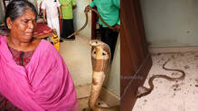 kaumudy-tv-snake-master-latest-episode