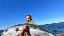 newzealand-diver-survives-fiji-shark-attack-four-surgeries