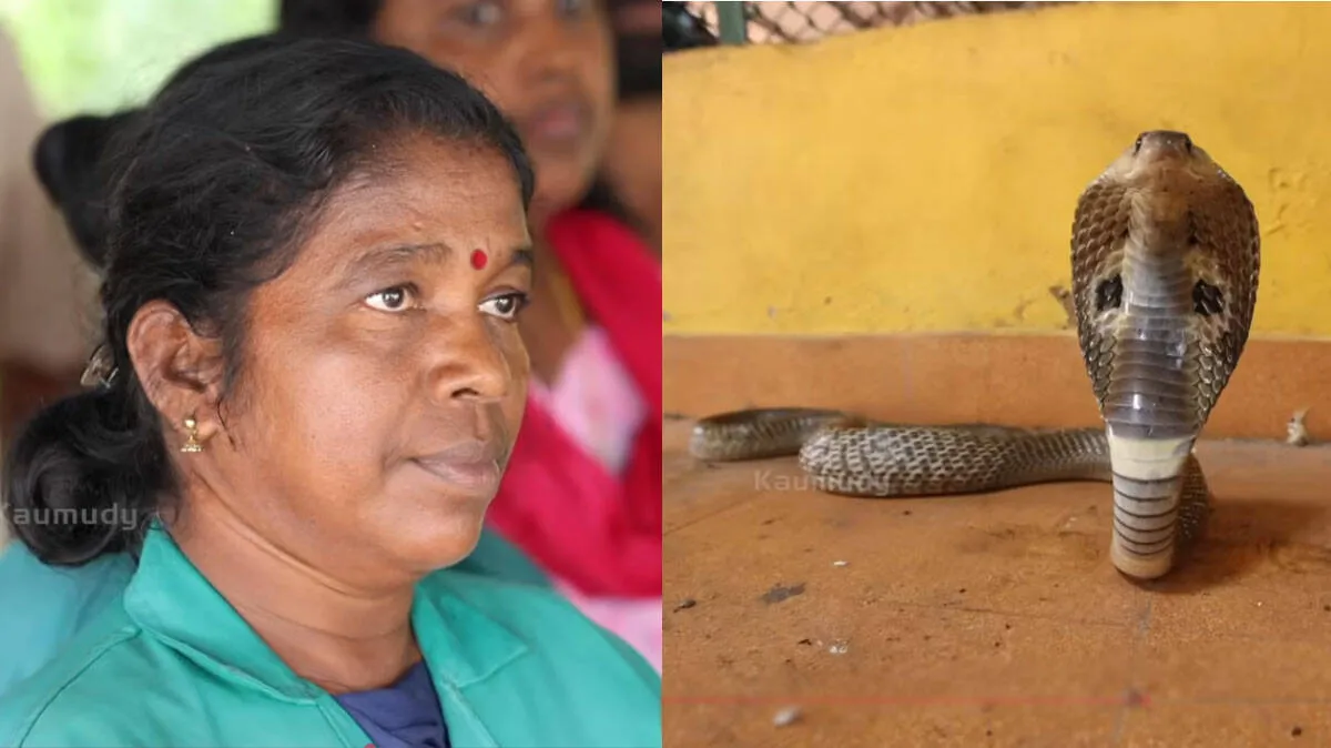 snake-rescue