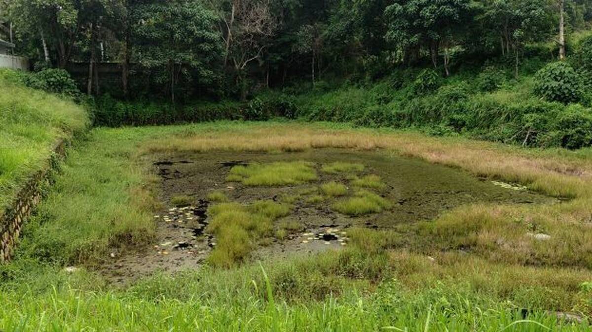 chenkulam