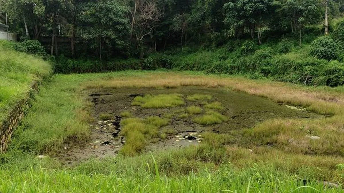 chenkulam