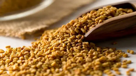 fenugreek.1.3948300