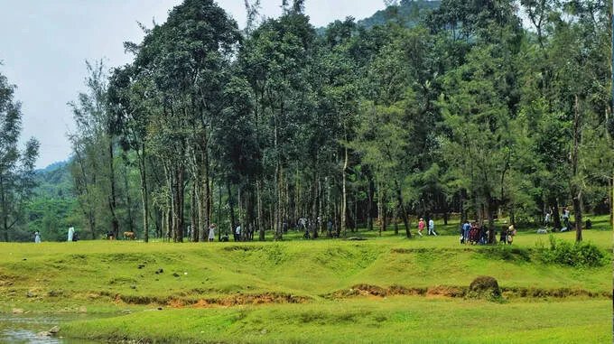 kariyathumpara