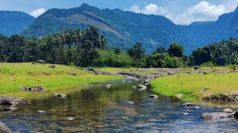 kariyathumpara.1.3953058