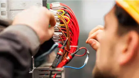 polytechnic-job.1.3954253