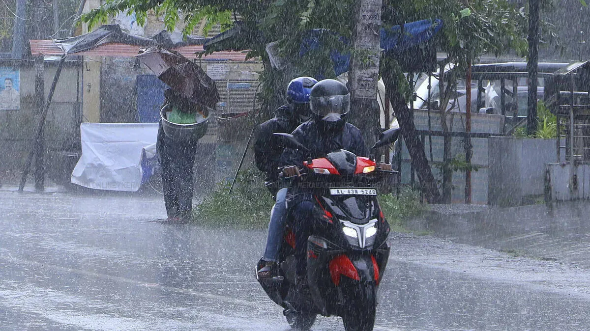 rain
