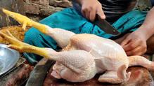 tamilnadu-chicken-traders-strike